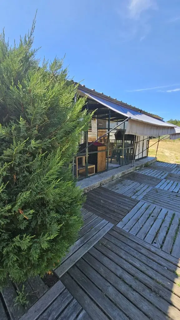 adoption chats audenge