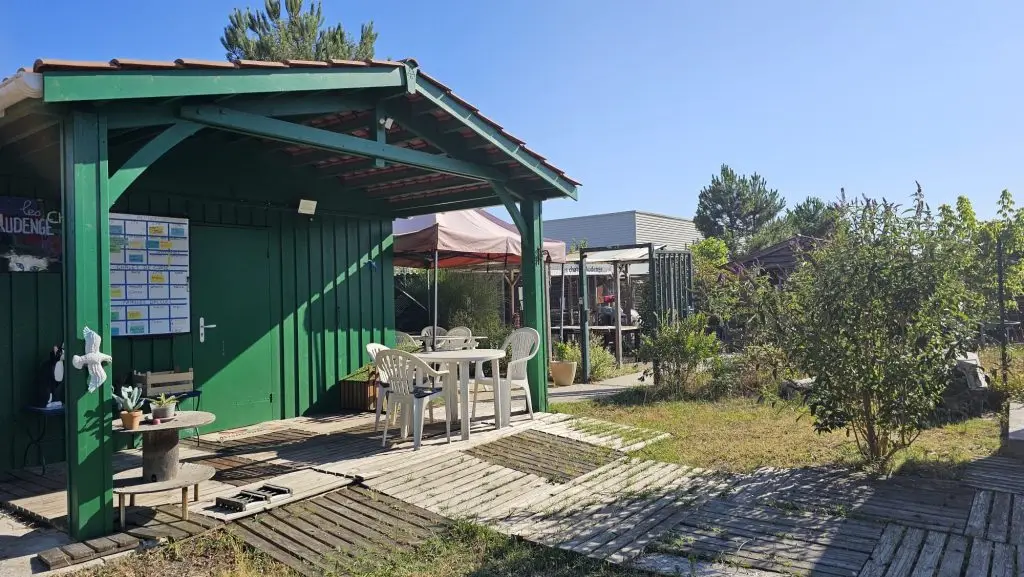 refuge association les chats d'audenge