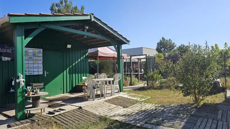 refuge association les chats d'audenge