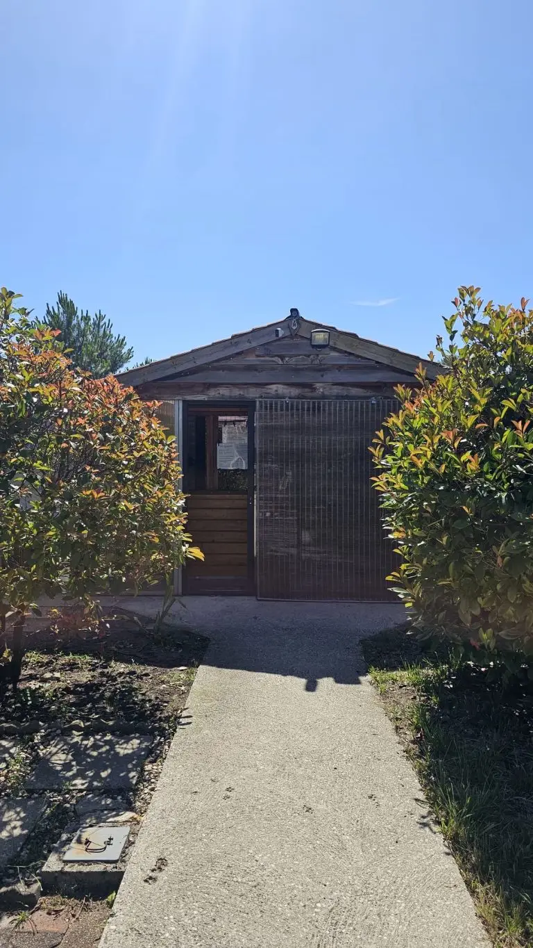 refuge association les chats d'audenge