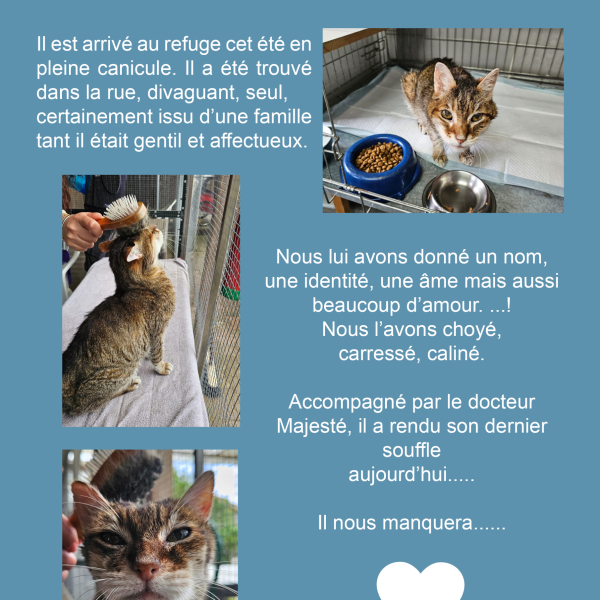 Actualité – 26 septembre, une triste matinée…