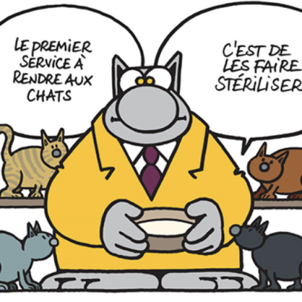Fiche conseil – L&rsquo;identification des chats