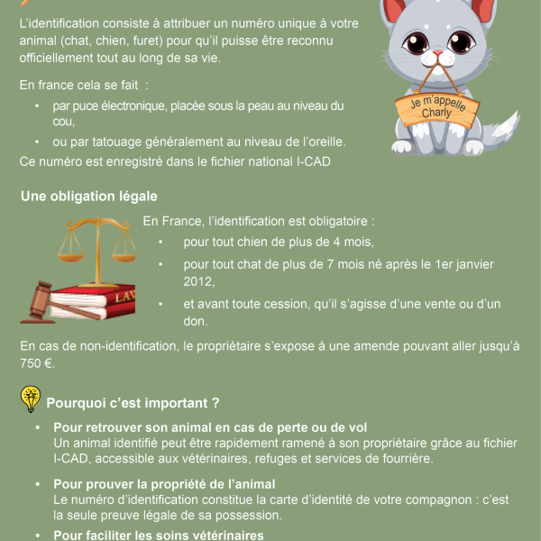 Fiche conseil – L&rsquo;identification