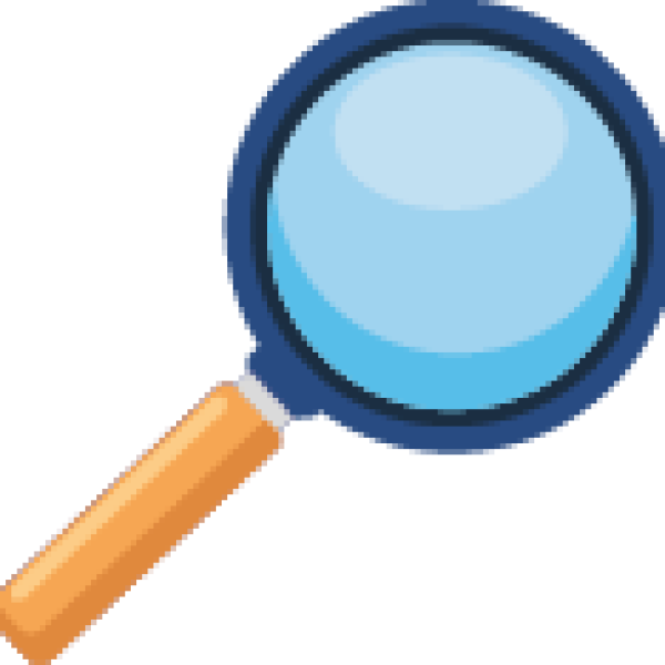 Actu – Chat recueilli : comment les chats d&rsquo;Audenge agissent ?