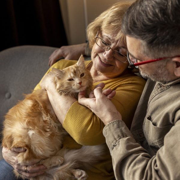 Nous sommes là pour vous accompagner