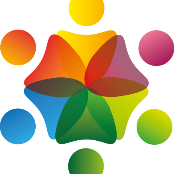 Actu : Ensemble pour les chats : Un belle chaine de solidarité